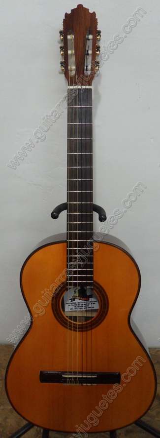 Guitarra fina de Nogal modelo GRG 1