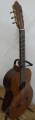 Guitarra de palo de rosa modelo DGC 5