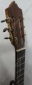 Guitarra de palo de rosa modelo DGC 6