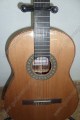 Guitarra de Corazón de Paloescrito modelo DGCP 7