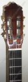 Guitarra de Corazón de Paloescrito modelo DGCP 8
