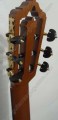 Guitarra de Palo de rosa modelo GGPRSB sin boca 5