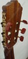 Requinto JLV Palo de Rosa 6