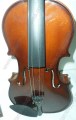 viola-de-madera-de-maple-4